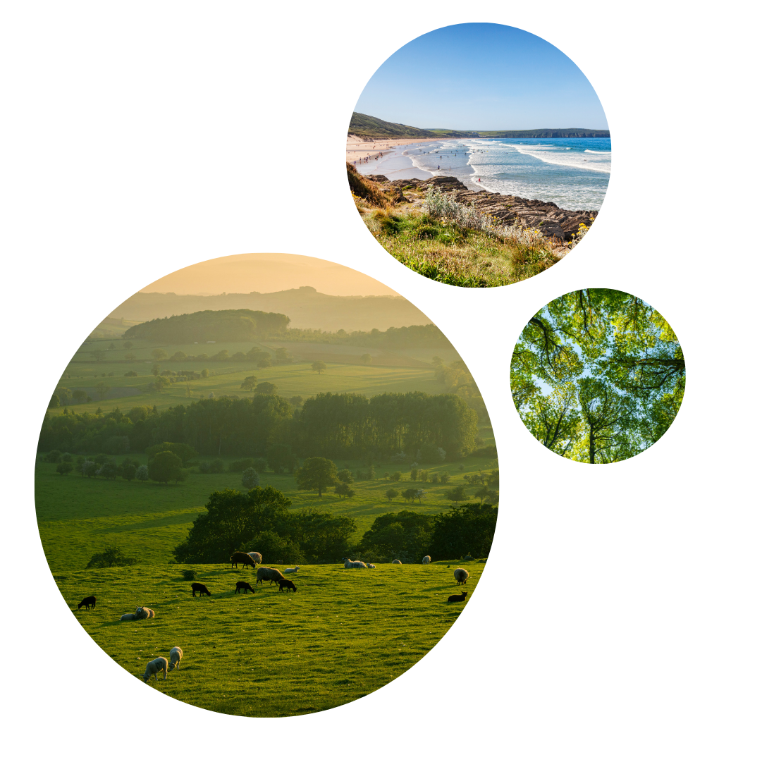three images in circles, all showing different environments in the UK. Farmland, sea and forest to accompany our sustainability policy.